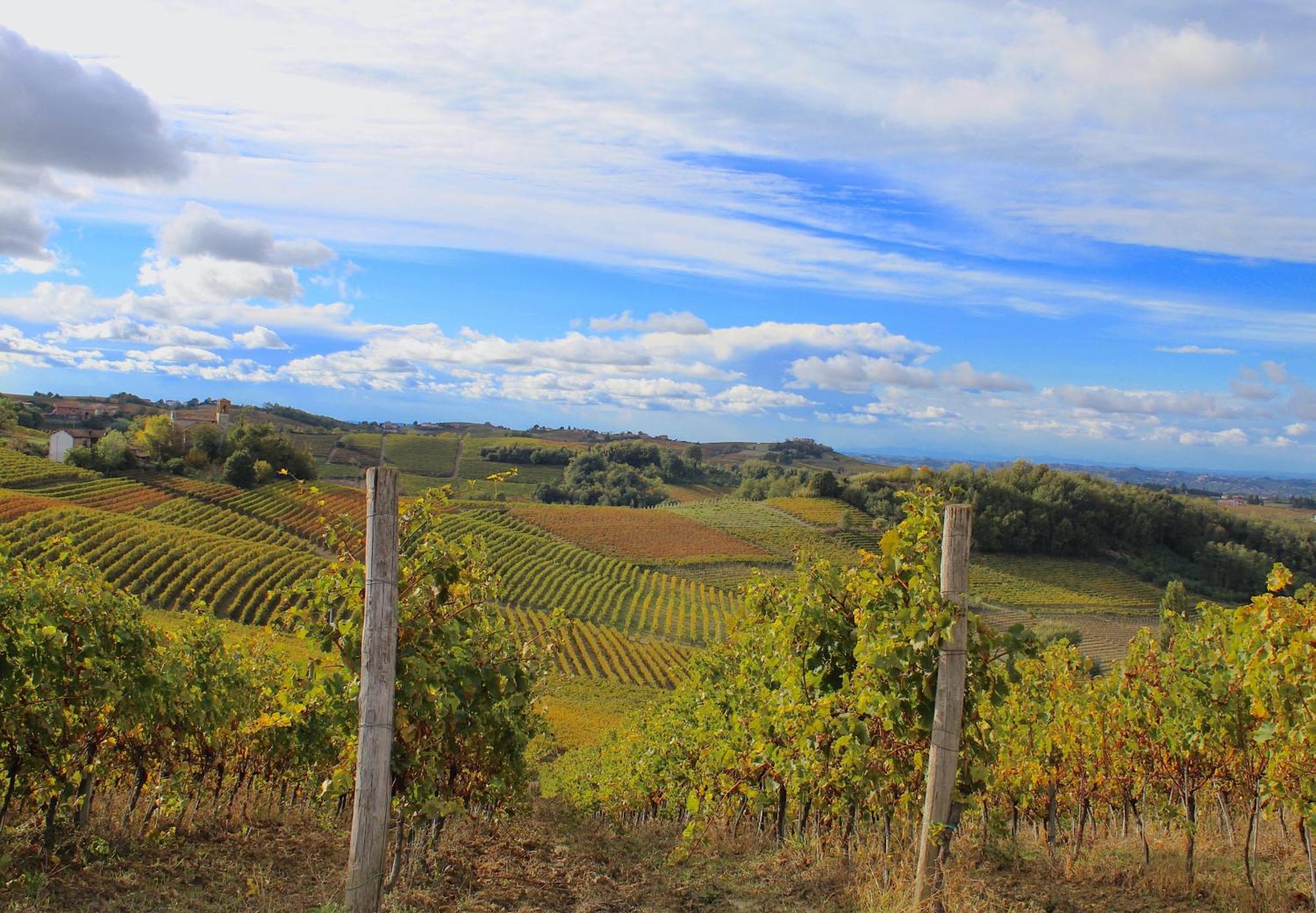 Amazing Langhe And Monferrato | House With Garden Villa Calamandrana Exterior foto